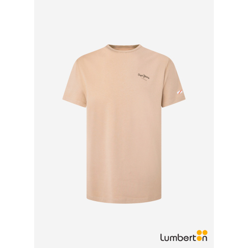 Camiseta básica + logo...
