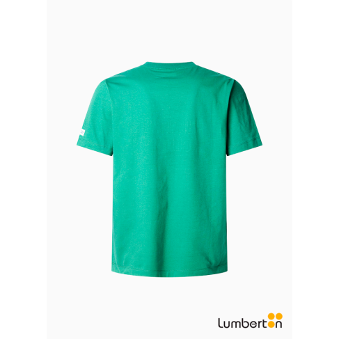 Camiseta verde... 2