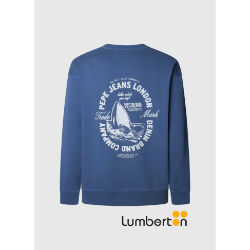 Sudadera básica azul... 2
