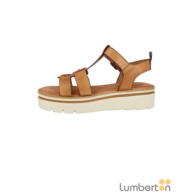 Sandalia dos hebillas camel 161393C Sandalia dos hebillas camel 161393C