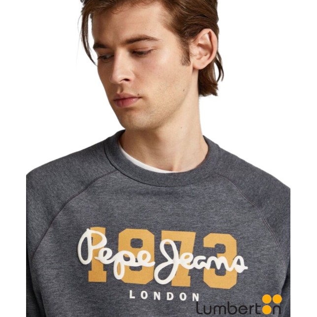 Sudadera Gris Letras Pepe Y AñoMEIERG