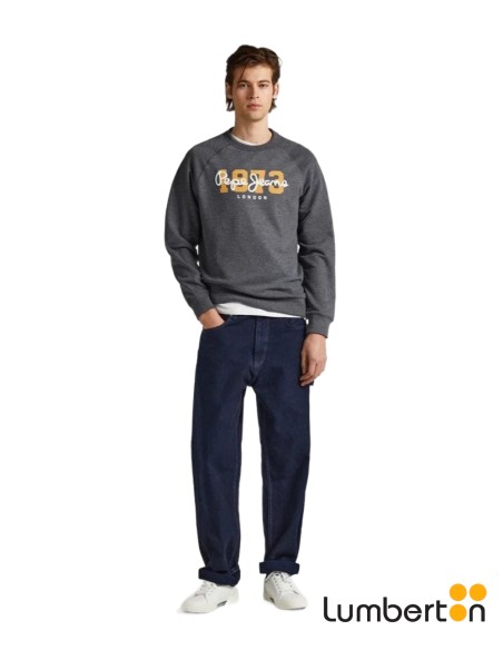 Sudadera Gris Letras Pepe Y AñoMEIERG