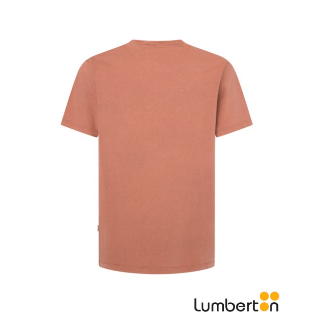 Camiseta M/L Rosa Palo Letras PepeALBRID