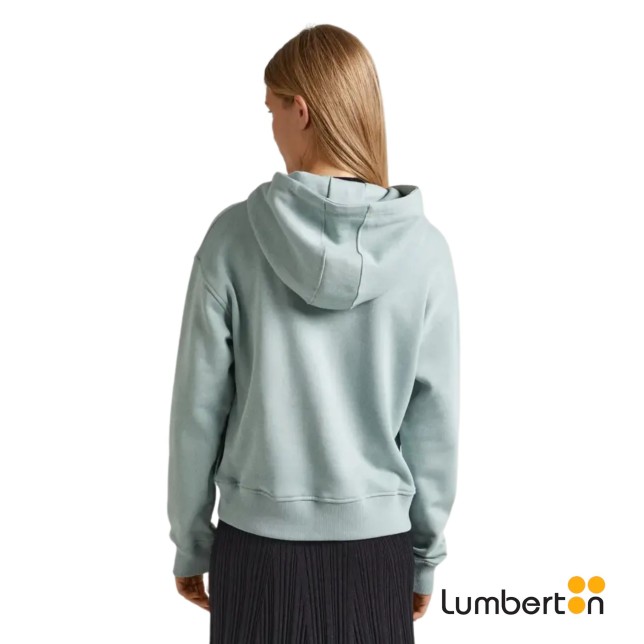 Sudadera Gris/Verdoso Capucha Logo... Sudadera Gris/Verdoso Capucha Logo...