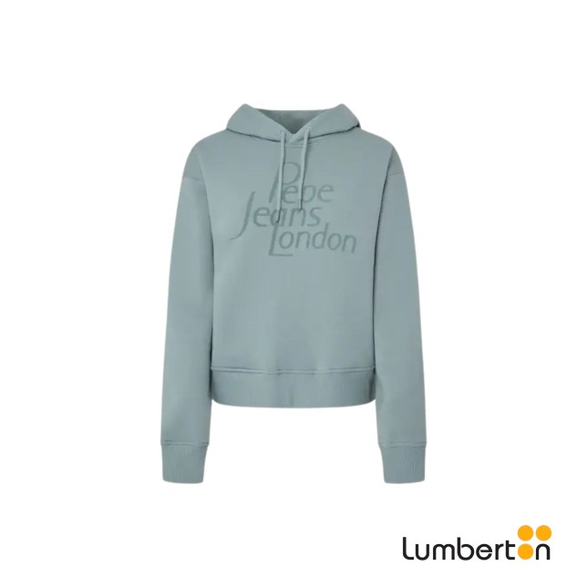 Sudadera Gris/Verdoso Capucha Logo... Sudadera Gris/Verdoso Capucha Logo...