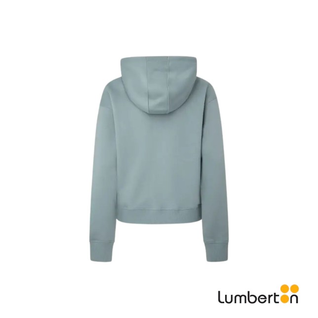 Sudadera Gris/Verdoso Capucha Logo... Sudadera Gris/Verdoso Capucha Logo...