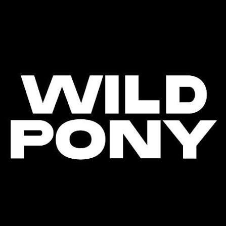 WILD PONY